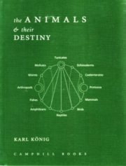 The Animals and Their Destiny