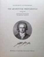The Archetypal Phenomenon