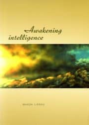 Awakening Intelligence