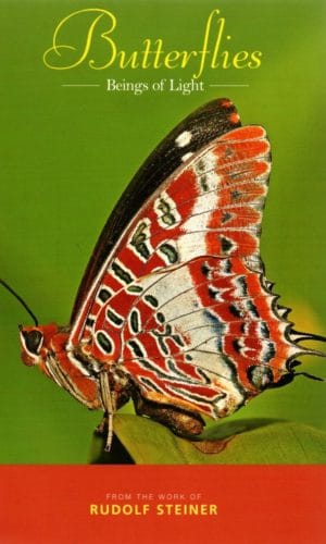 Butterflies: Beings of Light