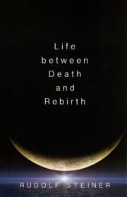Life between Death and Rebirth