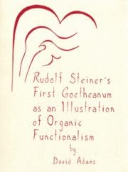 Rudolf Steiner's First Goetheanum as an Illustration of Organic Functionalism