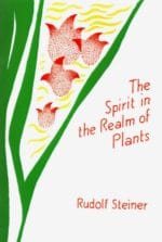 The Spirit in the Realm of Plants