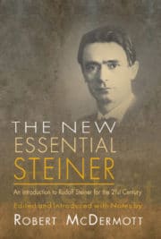 The New Essential Steiner