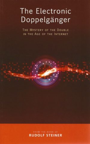 The Electronic Doppelgänger: The Mystery of the Double in the Age of the Internet