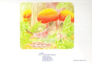 From the Forest to the Sea - Image 2