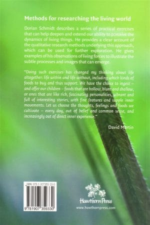 Life Forces - Formative Forces - Image 2