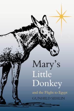 Mary's Little Donkey