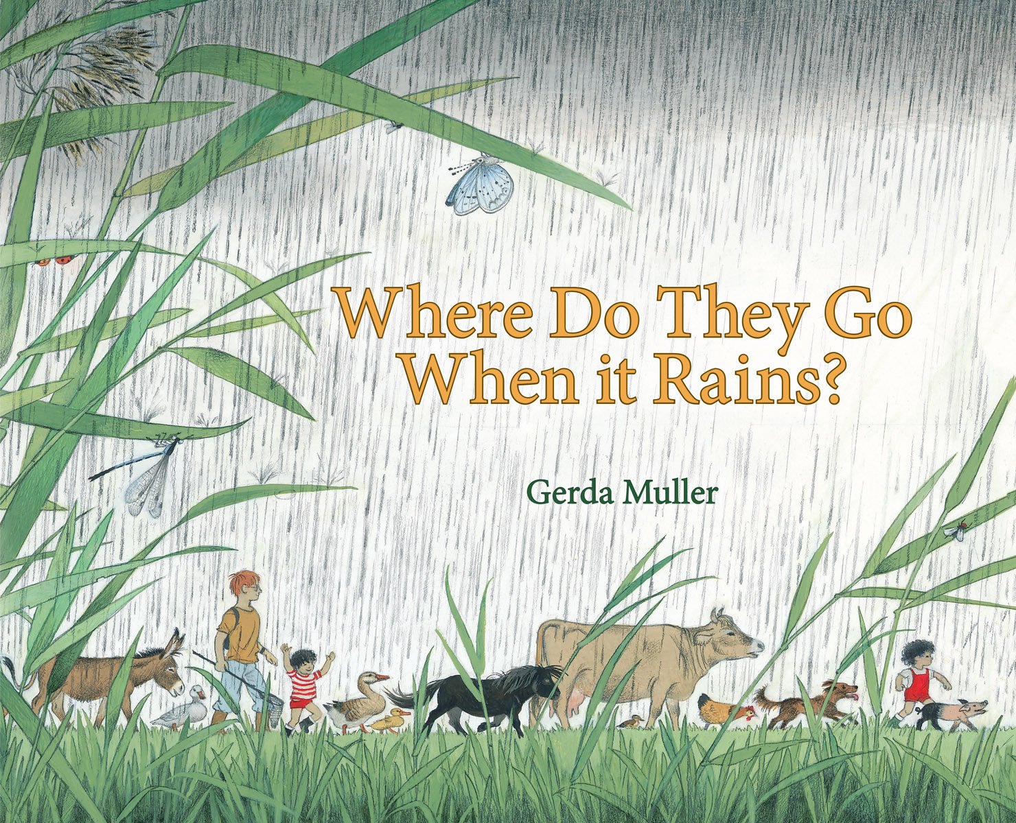 Where Do They Go When It Rains? -