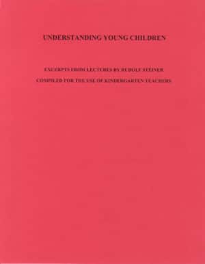 Understanding Young Children