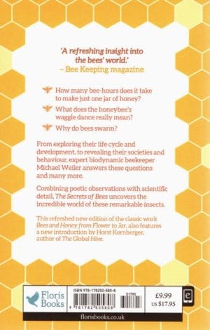 The Secrets of Bees - Image 2