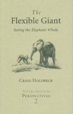 The Flexible Giant