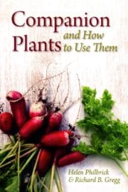 Companion Plants and How to Use Them