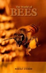 The World of Bees: From the Work of Rudolf Steiner