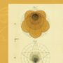 Anthroposophy and the Natural Sciences