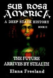 Sub Rosa America (Book II)