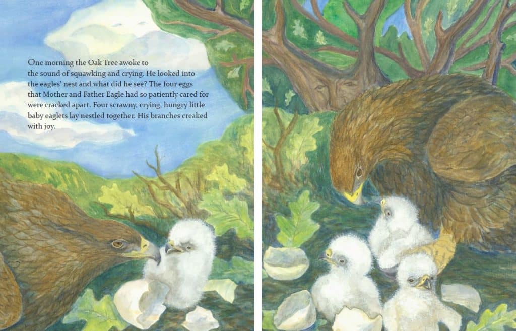 Dr. Rudolf Steiner Bookstore and Children's Shop
